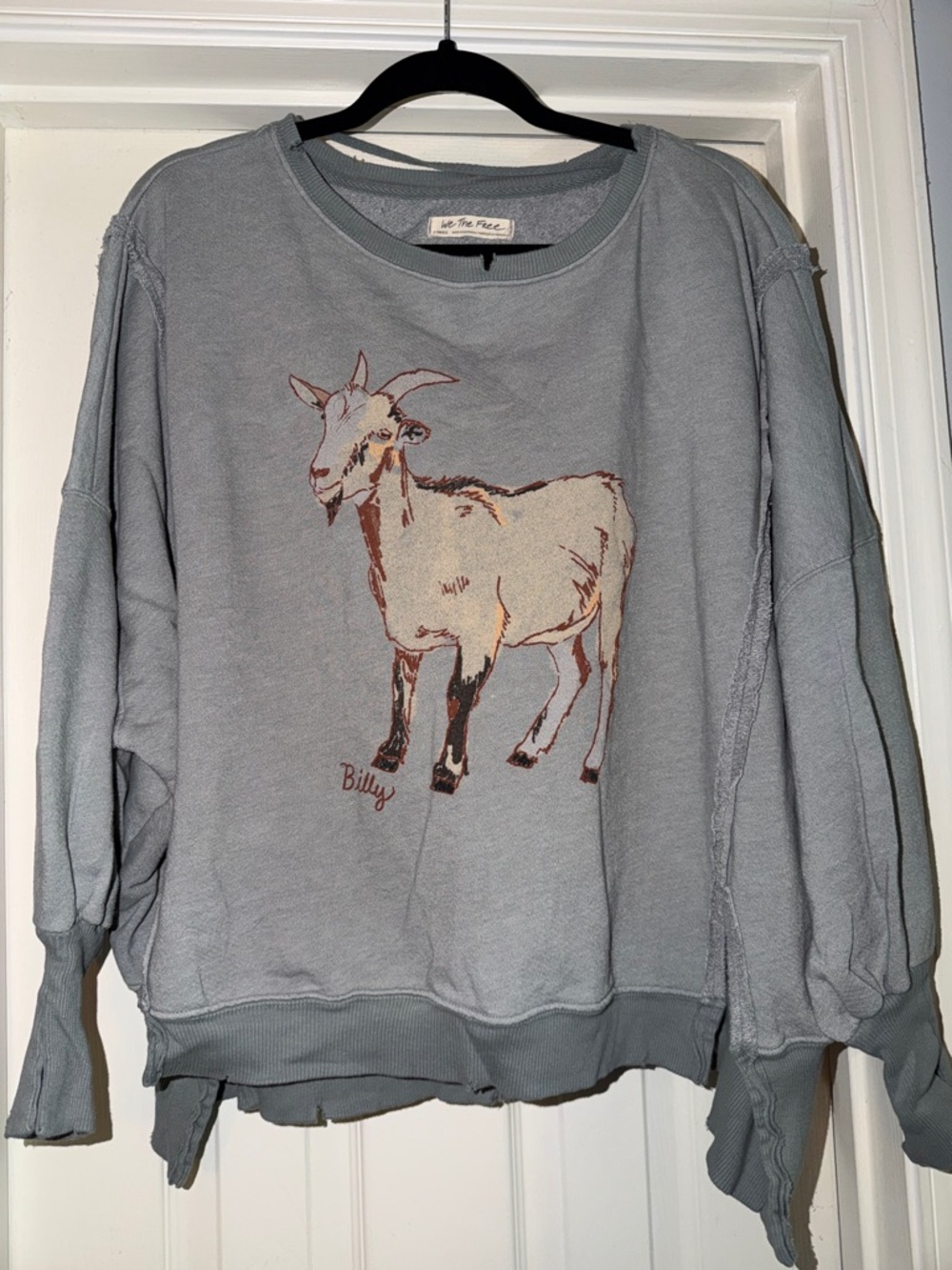 We The Free Free People Light Gray Goat Graphic Sweatshirt